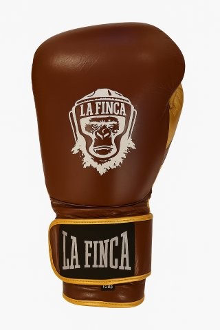 Gants Brown Gold